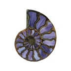 Starborn Half Ammonite with Purple Shell Inlay Cabochon 58 - 62 mm, 1 Piece