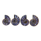 Starborn Half Ammonite with Purple Shell Inlay Cabochon 58 - 62 mm, 1 Piece