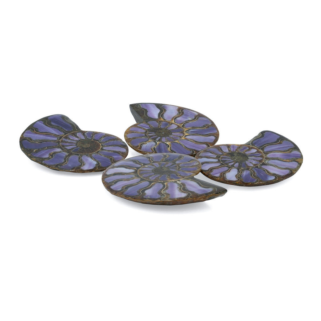 Starborn Half Ammonite with Purple Shell Inlay Cabochon 58 - 62 mm, 1 Piece