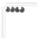 Starborn Half Ammonite with Purple Shell Inlay Cabochon 58 - 62 mm, 1 Piece