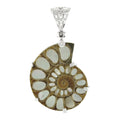 Starborn Ammonite with Mother of Pearl Inlay, Prong Set Pendant
