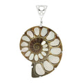 Starborn Ammonite with Mother of Pearl Inlay, Prong Set Pendant