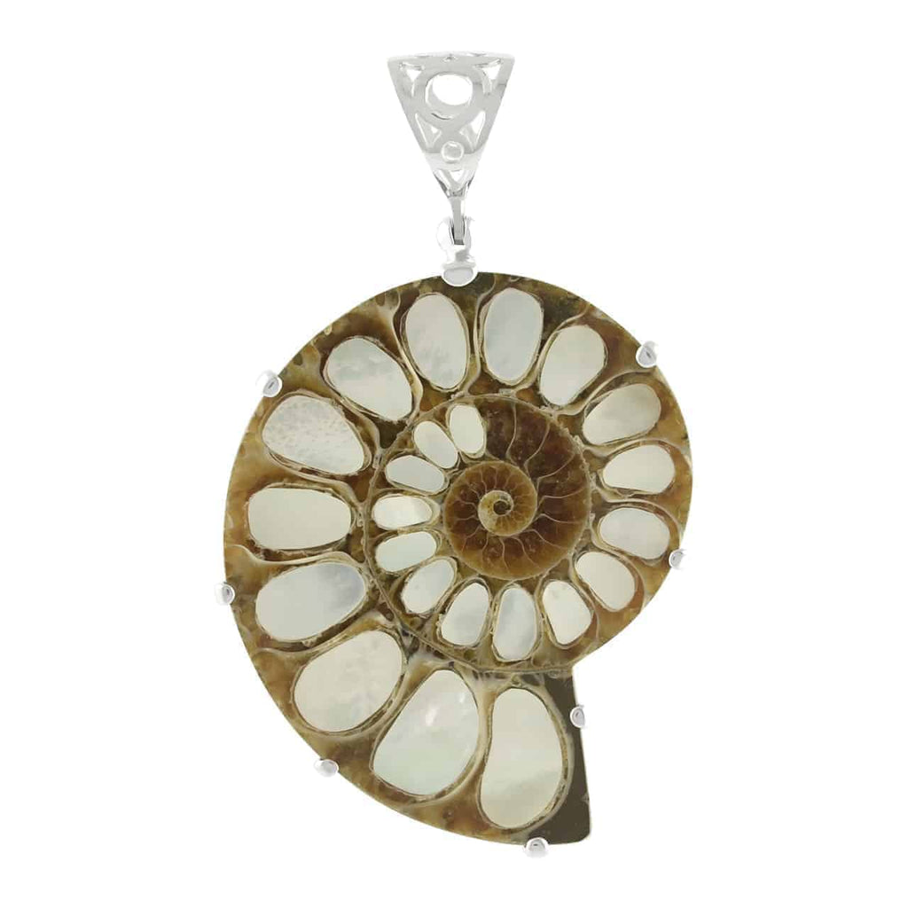Starborn Ammonite with Mother of Pearl Inlay, Prong Set Pendant
