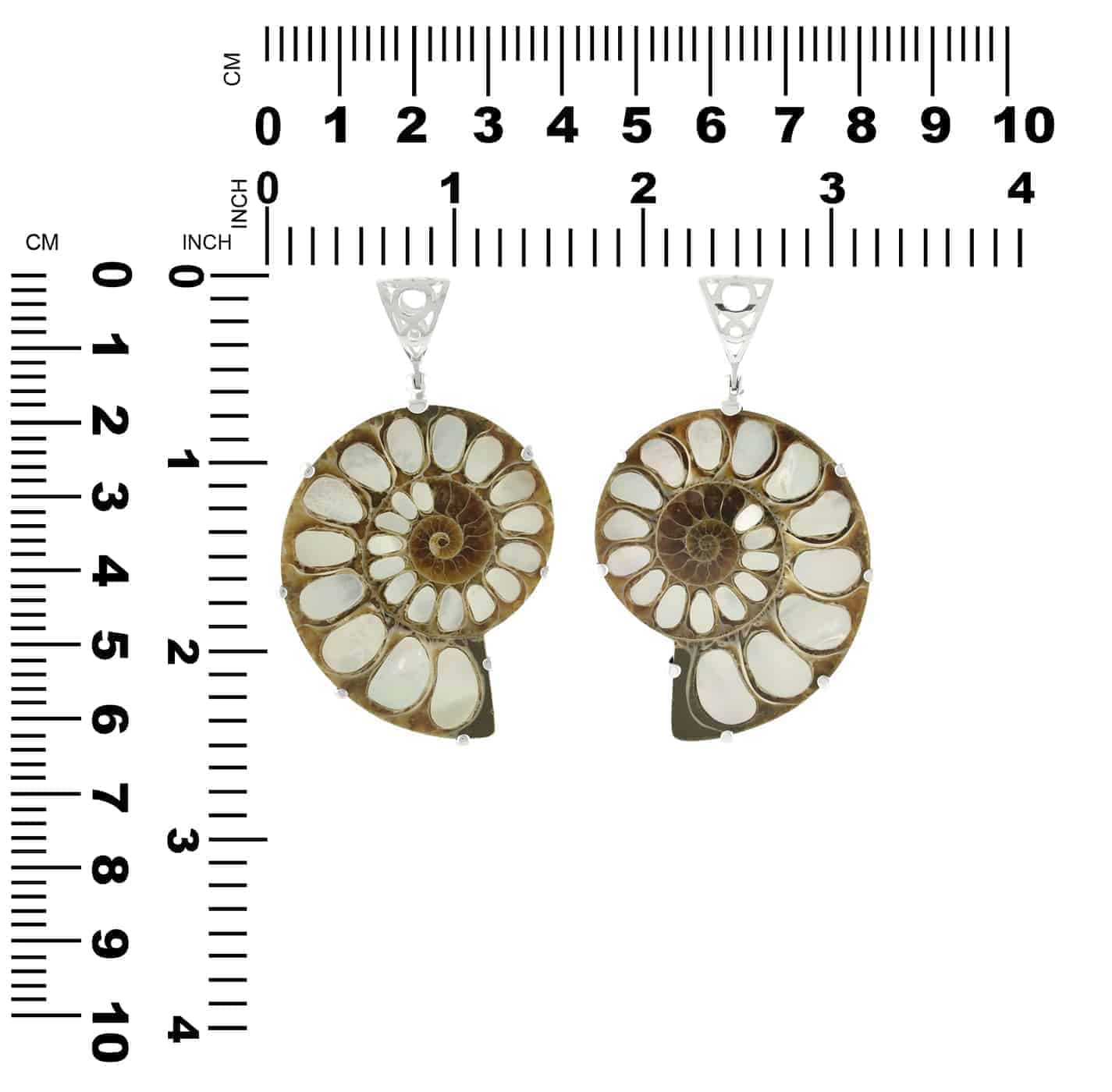 Starborn Ammonite with Mother of Pearl Inlay, Prong Set Pendant