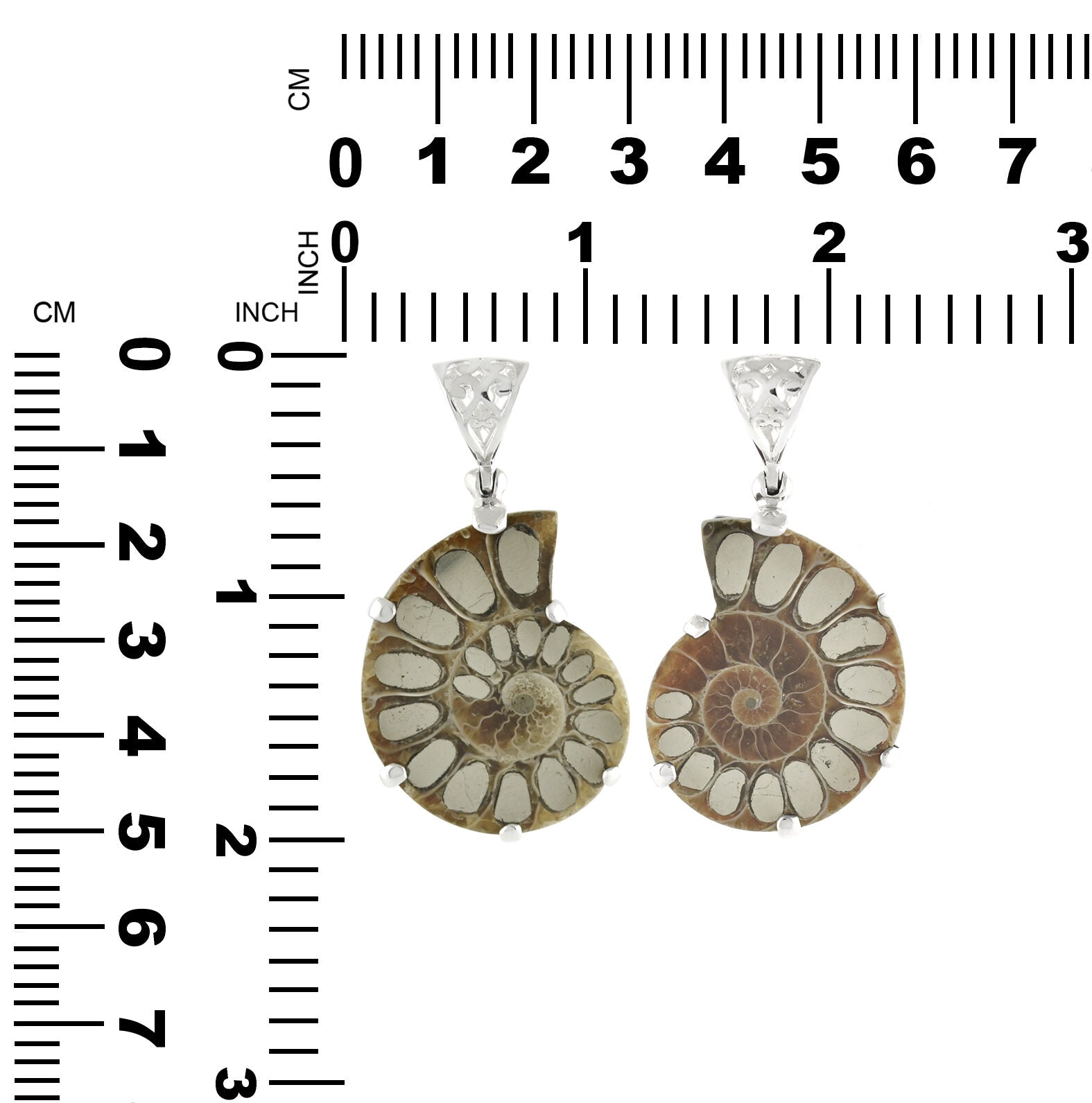 Starborn Pyrite Inlaid Ammonite Pendant in Sterling Silver with Filigree Bale - Small