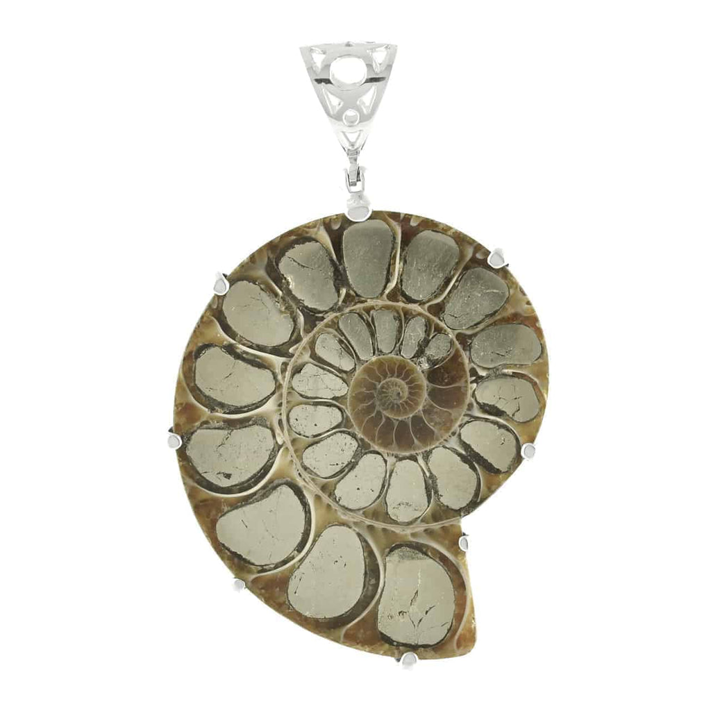 Starborn Pyrite Inlaid Ammonite Pendant with Sterling Silver Filigree Detail - Large
