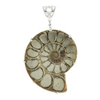 Starborn Pyrite Inlaid Ammonite Pendant with Sterling Silver Filigree Detail - Large