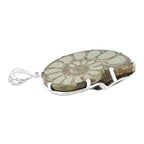 Starborn Pyrite Inlaid Ammonite Pendant with Sterling Silver Filigree Detail - Large