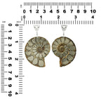 Starborn Pyrite Inlaid Ammonite Pendant with Sterling Silver Filigree Detail - Large