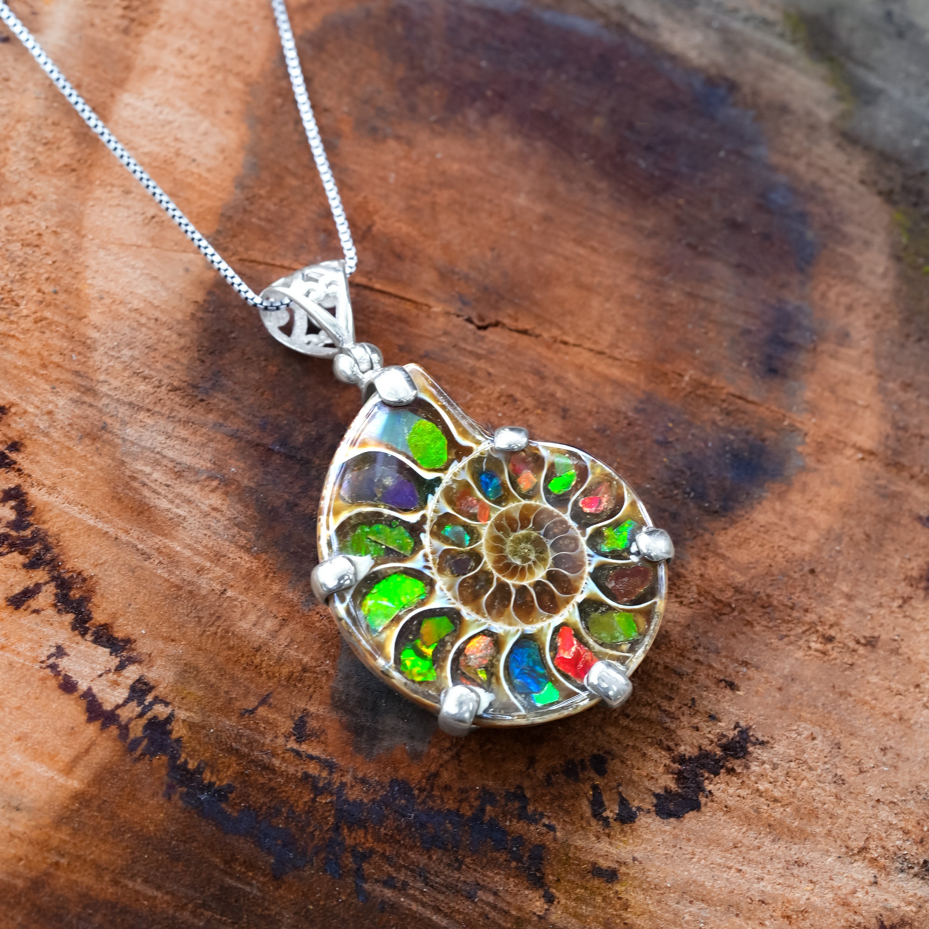 Starborn Ammonite with Ammolite Inlay in Sterling Silver