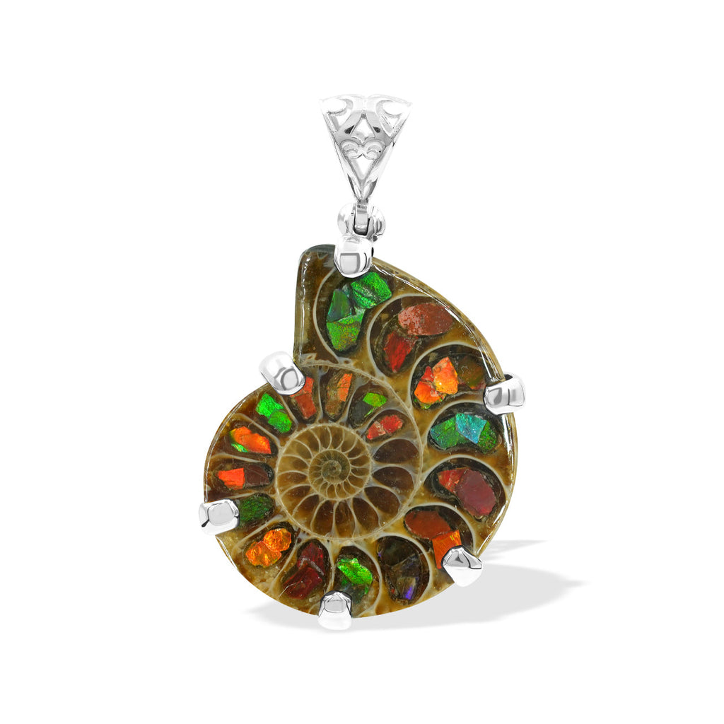 Starborn Ammonite with Ammolite Inlay in Sterling Silver