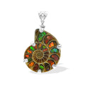 Starborn Ammonite with Ammolite Inlay in Sterling Silver