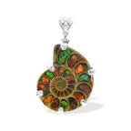 Starborn Ammonite with Ammolite Inlay in Sterling Silver