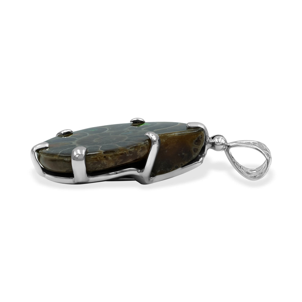 Starborn Ammonite with Ammolite Inlay in Sterling Silver