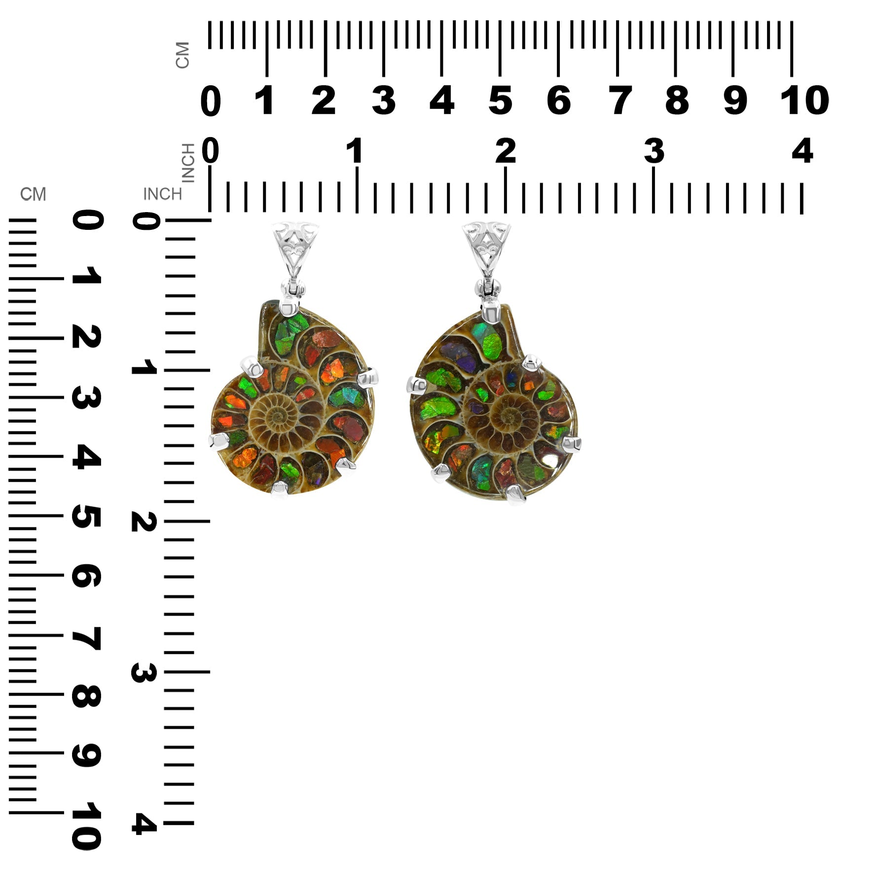 Starborn Ammonite with Ammolite Inlay in Sterling Silver