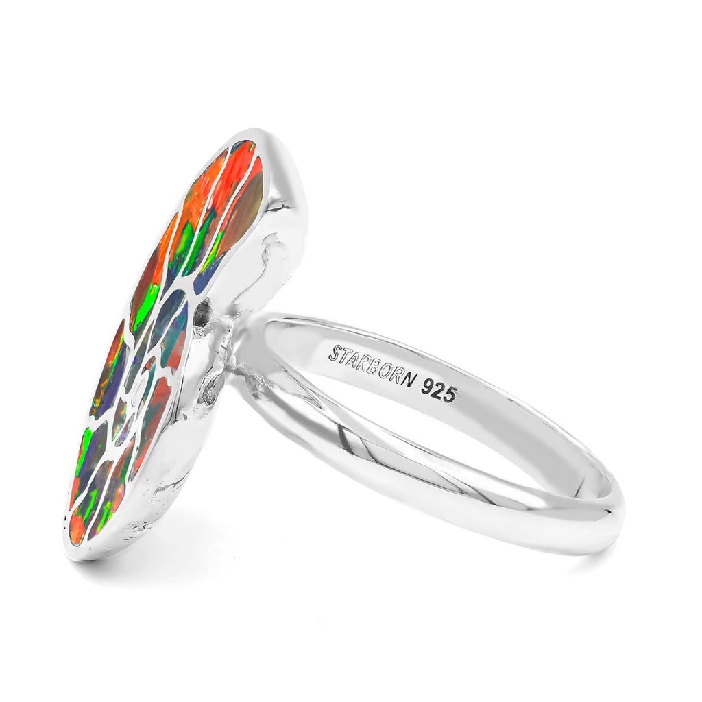 Starborn Ammolite Nautilus Ring in Sterling Silver