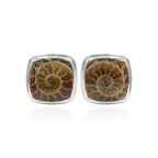 Starborn Sterling Silver Cushion-Cut Fossilized Ammonite Cuff Links