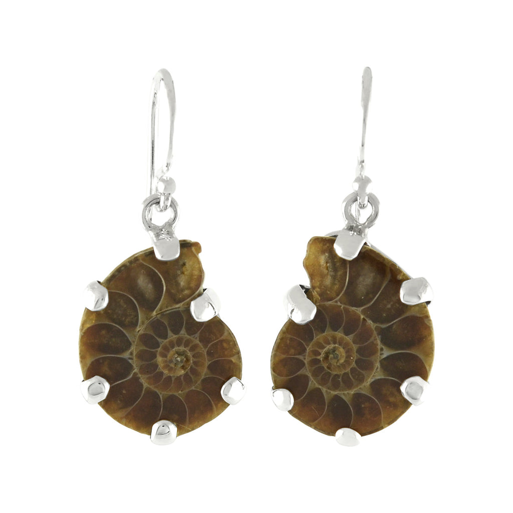 Starborn Fossilized Ammonite Prong Set Earrings with Filigree Back in Sterling Silver