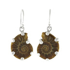 Starborn Fossilized Ammonite Prong Set Earrings with Filigree Back in Sterling Silver