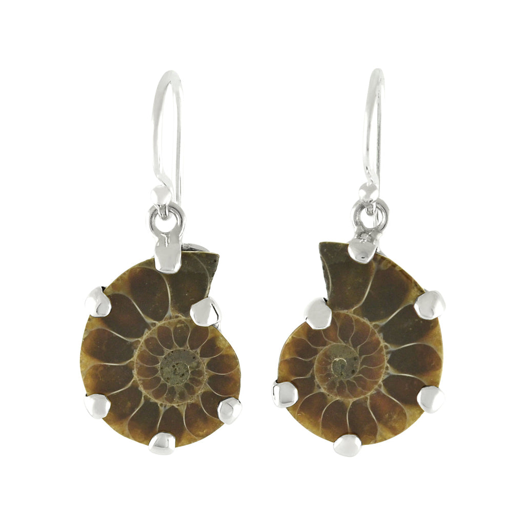 Starborn Fossilized Ammonite Prong Set Earrings with Filigree Back in Sterling Silver