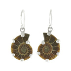 Starborn Fossilized Ammonite Prong Set Earrings with Filigree Back in Sterling Silver