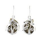 Starborn Fossilized Ammonite Prong Set Earrings with Filigree Back in Sterling Silver