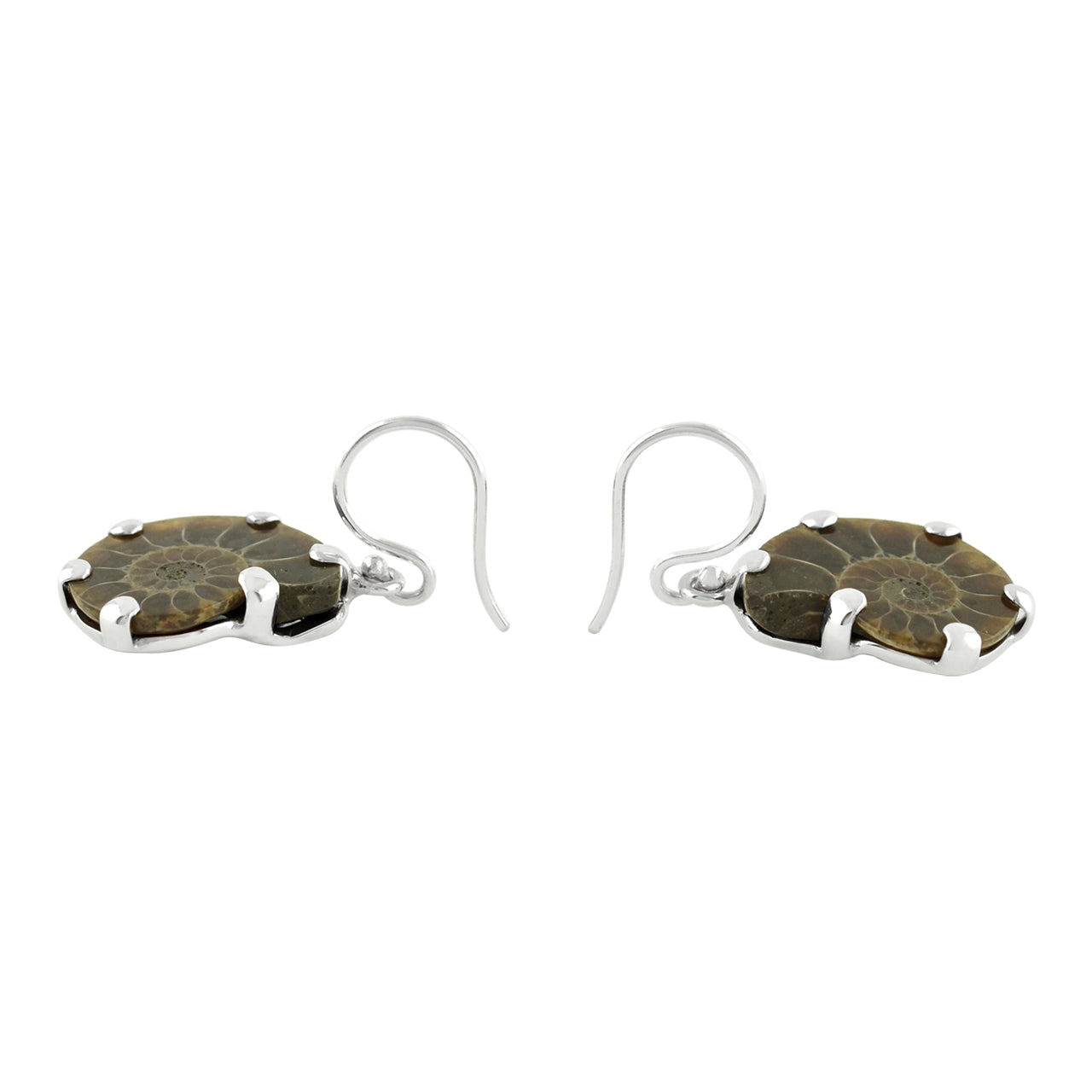 Starborn Fossilized Ammonite Prong Set Earrings with Filigree Back in Sterling Silver