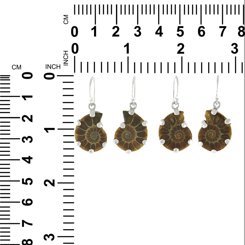 Starborn Fossilized Ammonite Prong Set Earrings with Filigree Back in Sterling Silver