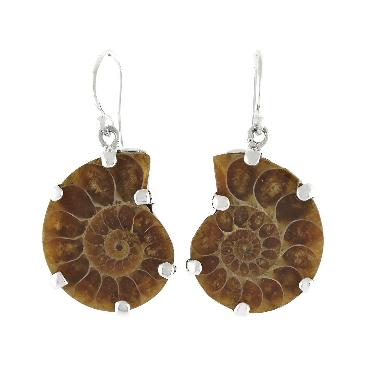 Starborn Fossilized Ammonite Prong Set Earrings with Filigree Back in Sterling Silver