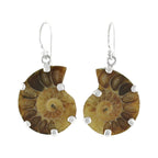 Starborn Fossilized Ammonite Prong Set Earrings with Filigree Back in Sterling Silver