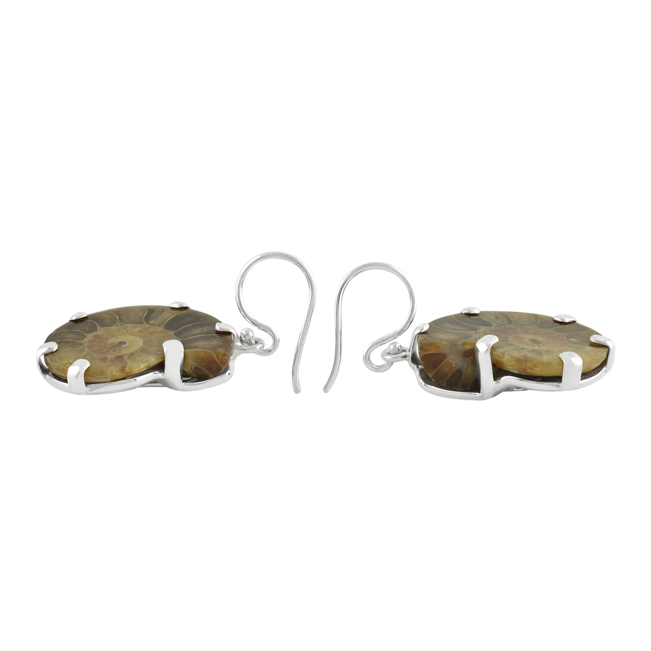Starborn Fossilized Ammonite Prong Set Earrings with Filigree Back in Sterling Silver