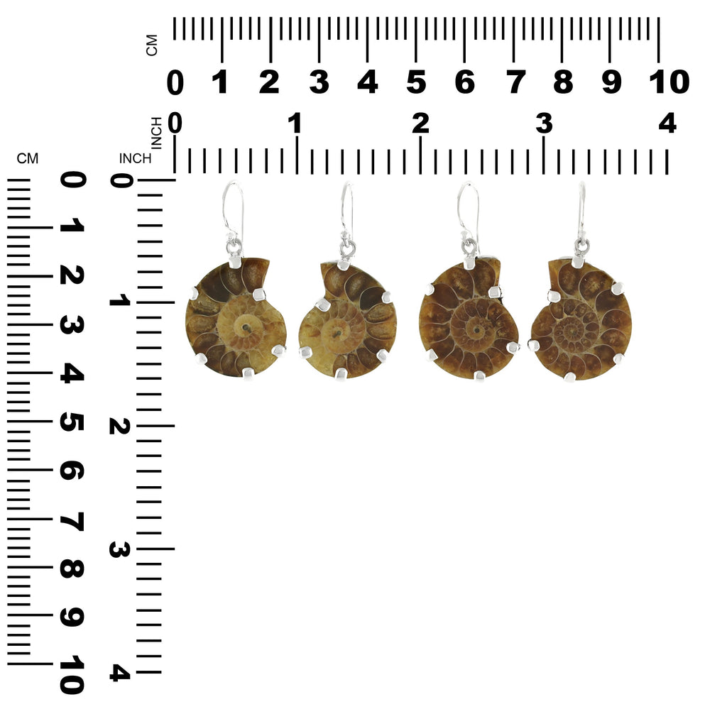 Starborn Fossilized Ammonite Prong Set Earrings with Filigree Back in Sterling Silver