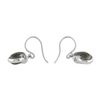 Starborn Fossilized Hematite Ammonite Earrings in Sterling Silver
