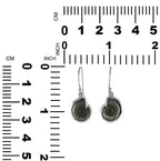 Starborn Fossilized Hematite Ammonite Earrings in Sterling Silver