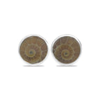 Starborn Fossilized Ammonite Round Post Earrings in Sterling Silver