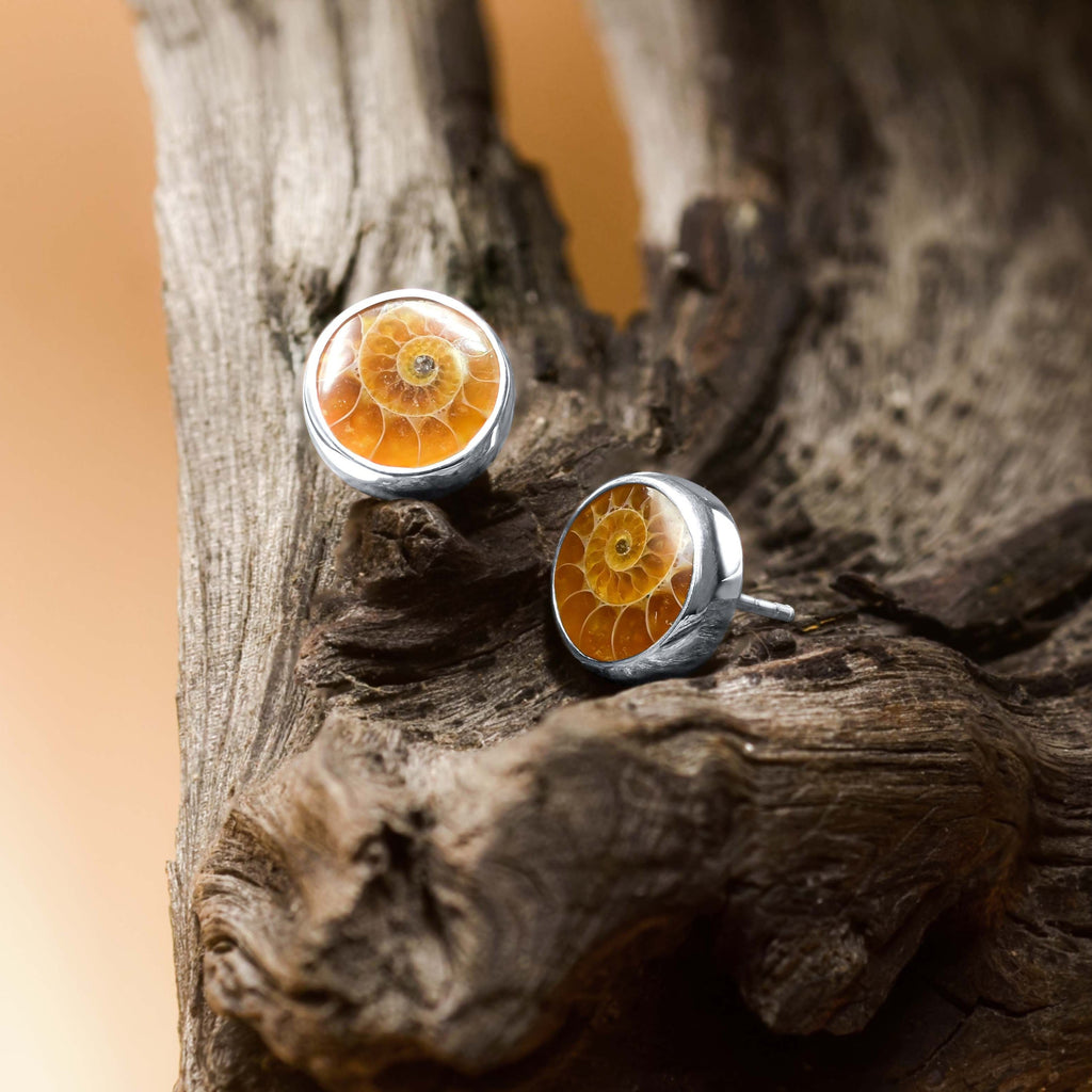 Starborn Fossilized Ammonite Round Post Earrings in Sterling Silver