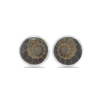 Starborn Fossilized Ammonite Round Post Earrings in Sterling Silver