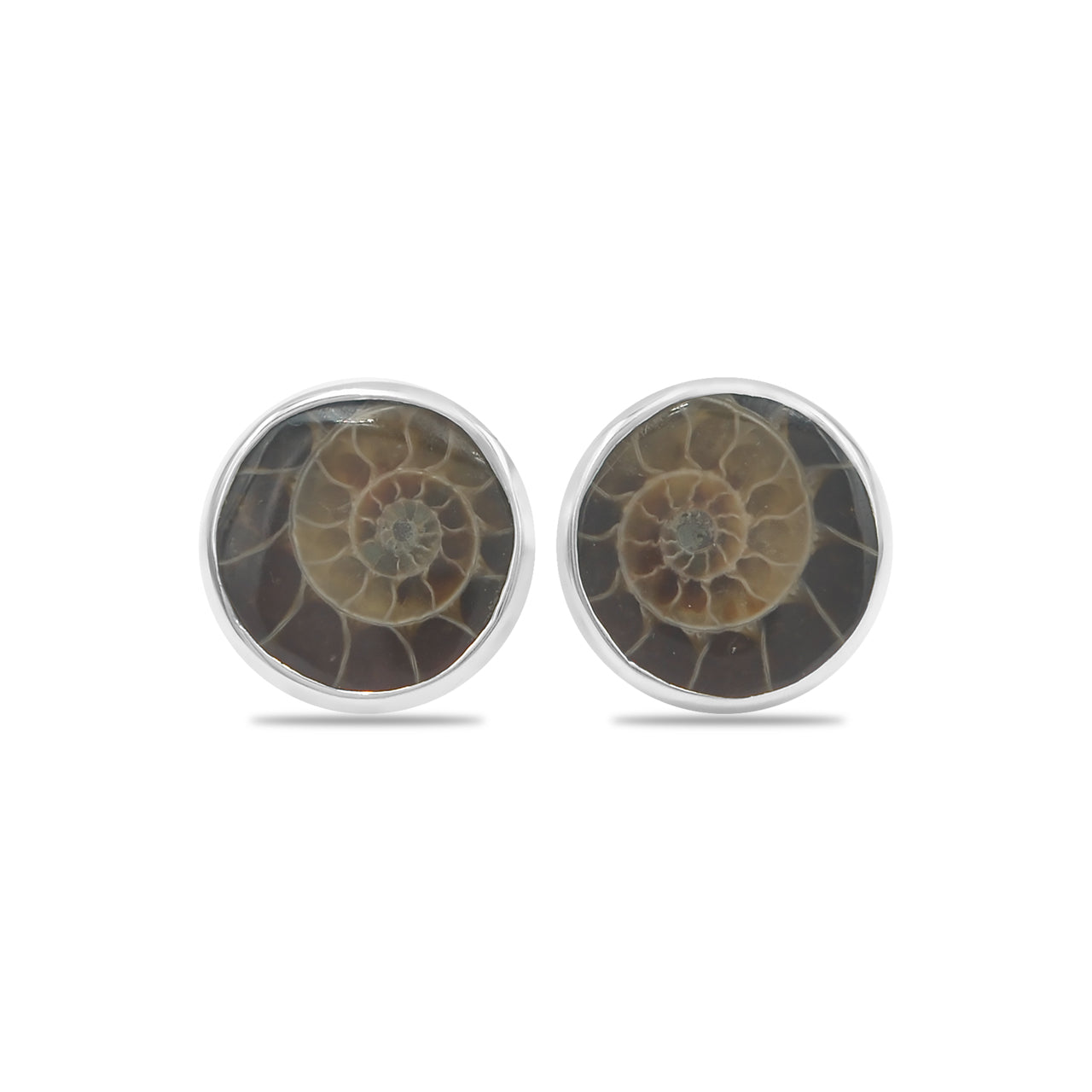 Starborn Fossilized Ammonite Round Post Earrings in Sterling Silver