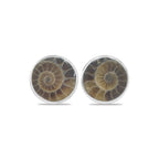 Starborn Fossilized Ammonite Round Post Earrings in Sterling Silver