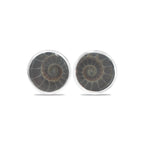 Starborn Fossilized Ammonite Round Post Earrings in Sterling Silver