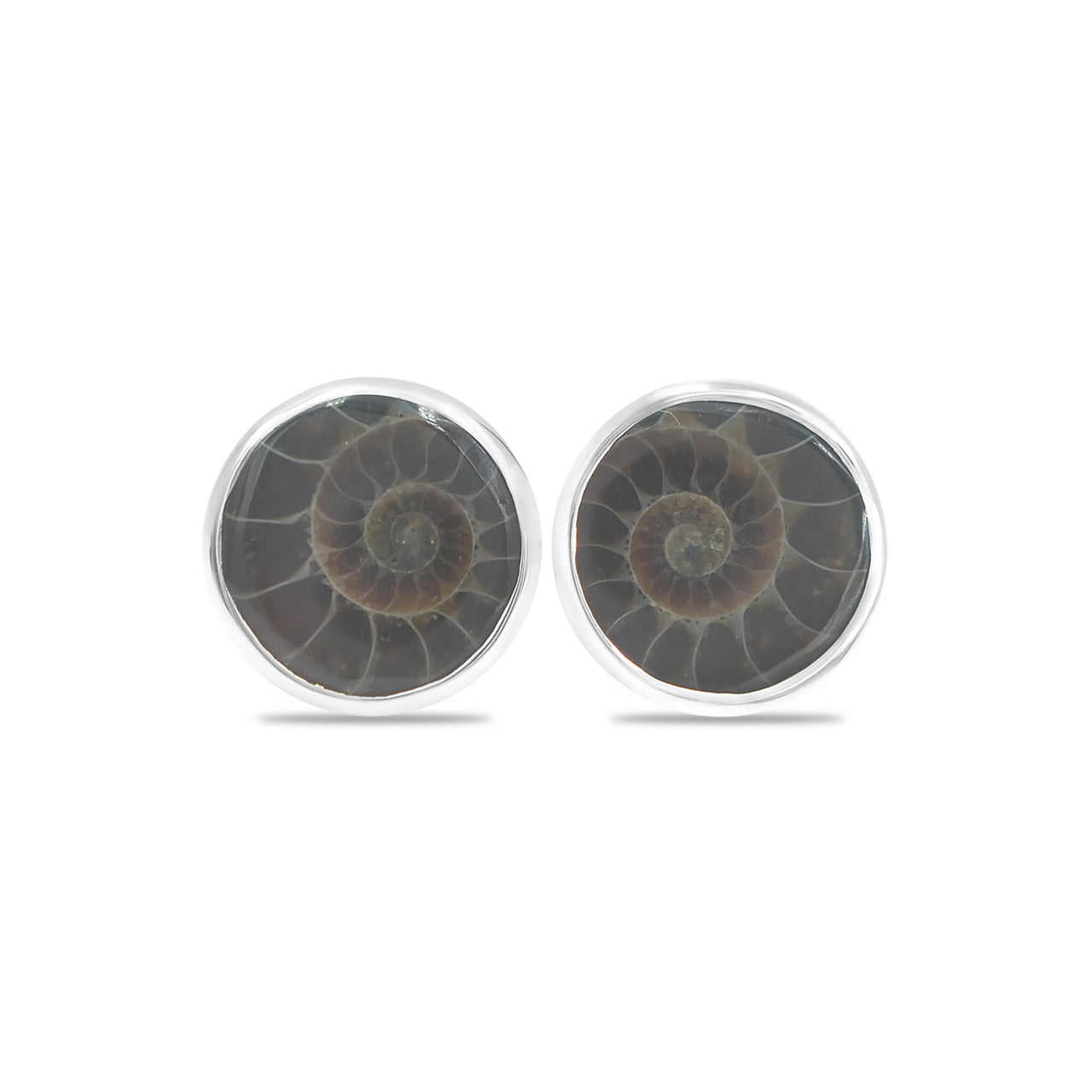 Starborn Fossilized Ammonite Round Post Earrings in Sterling Silver