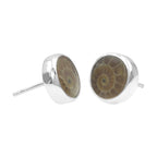 Starborn Fossilized Ammonite Round Post Earrings in Sterling Silver