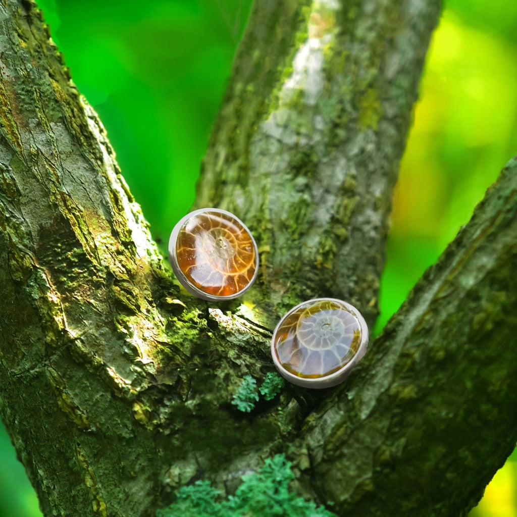 Starborn Fossilized Ammonite Round Post Earrings in Sterling Silver