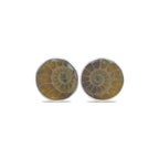 Starborn Fossilized Ammonite Round Post Earrings in Sterling Silver