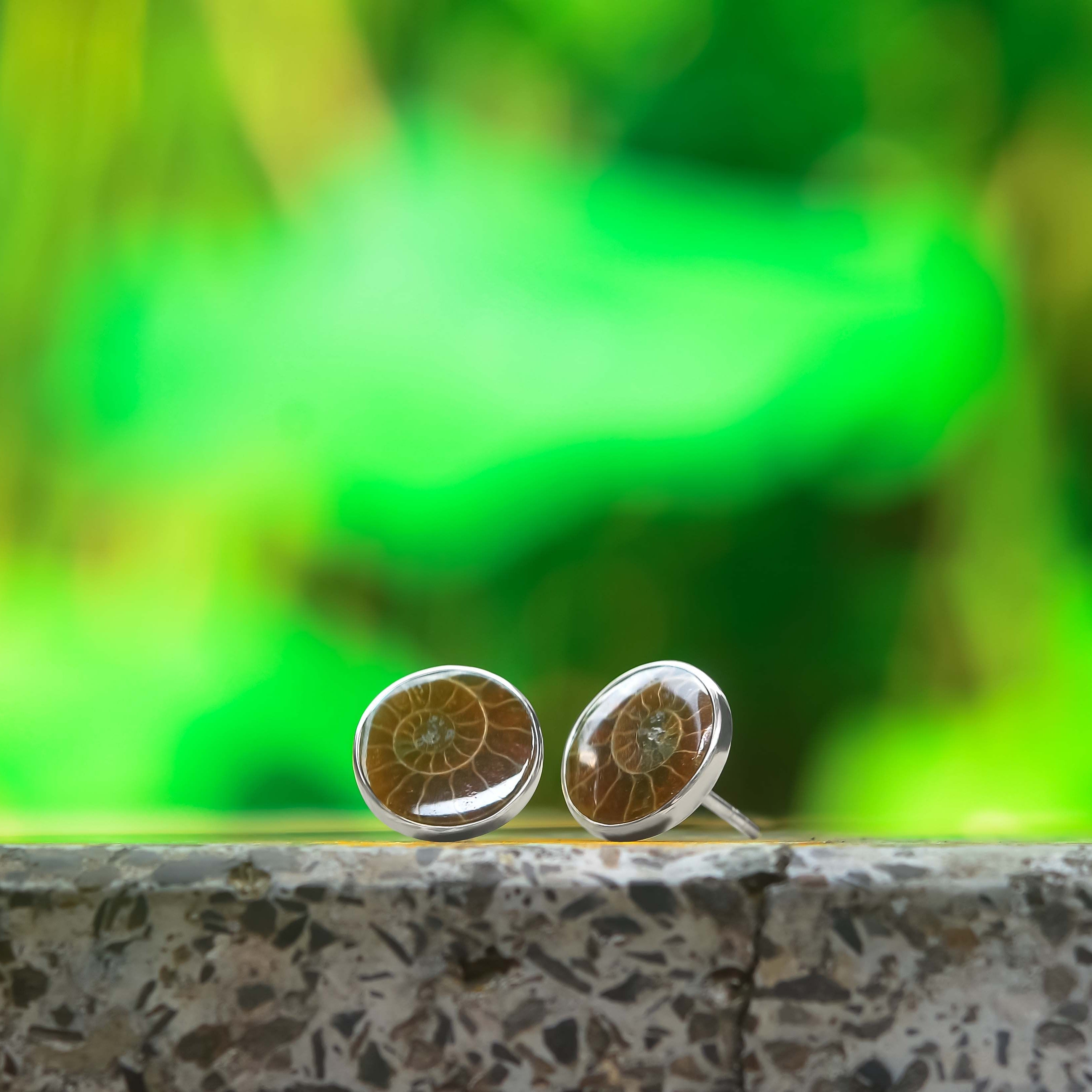Starborn Fossilized Ammonite Round Post Earrings in Sterling Silver