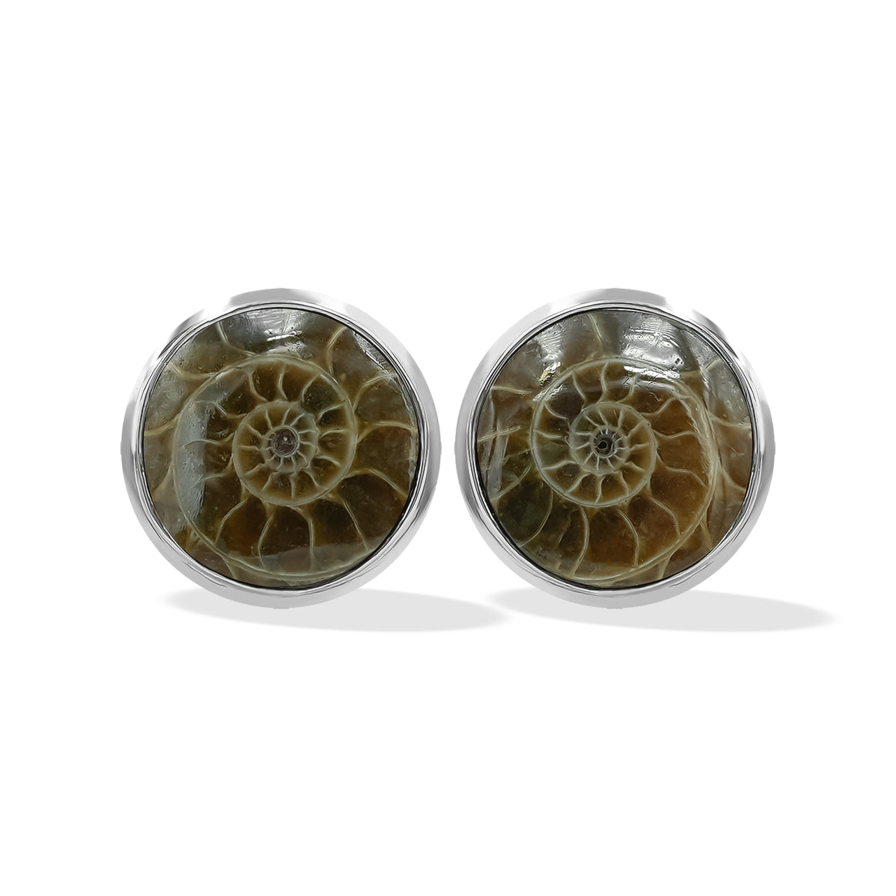 Starborn Fossilized Ammonite Round Post Earrings in Sterling Silver