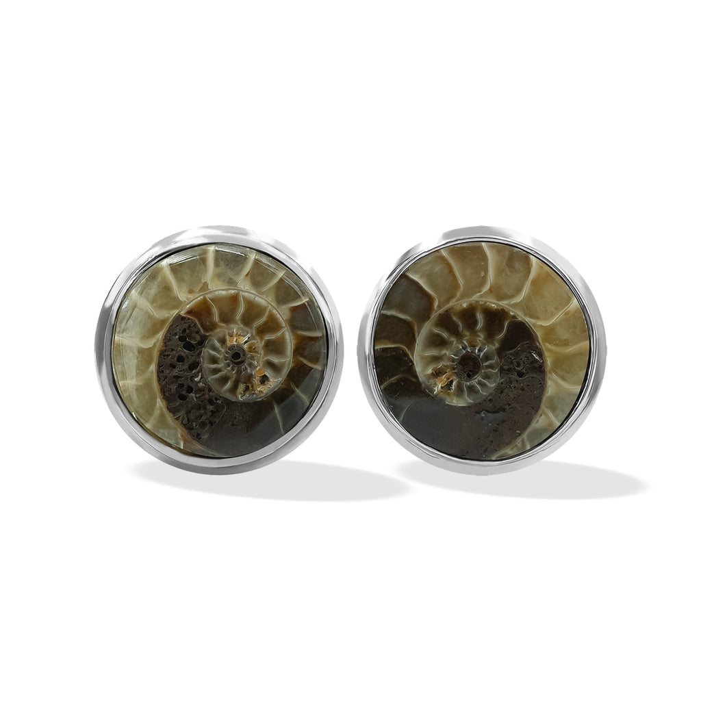 Starborn Fossilized Ammonite 8mm Round Post Style Earrings in Sterling Silver