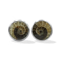 Starborn Fossilized Ammonite 8mm Round Post Style Earrings in Sterling Silver