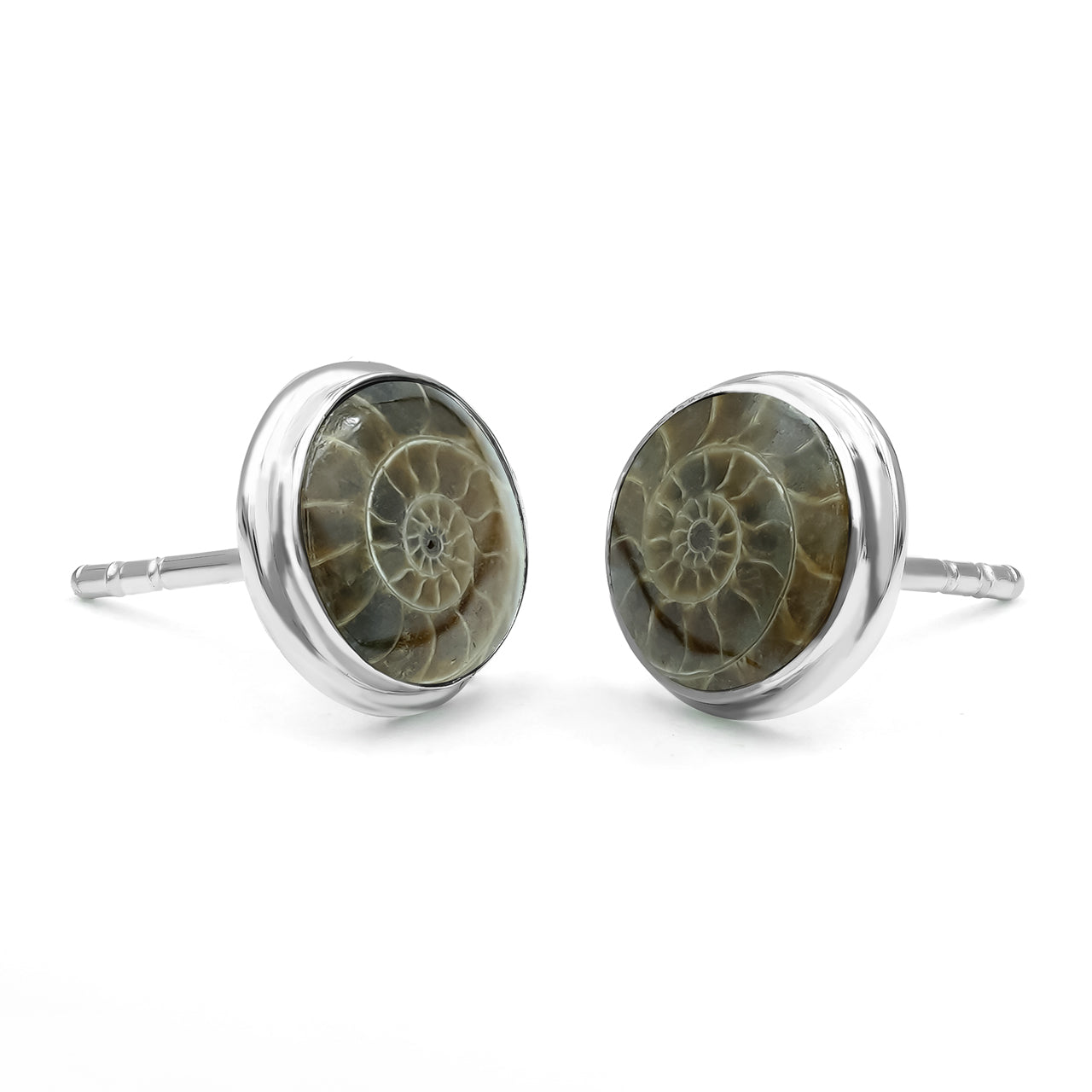 Starborn Fossilized Ammonite Round Post Earrings in Sterling Silver