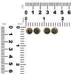 Starborn Fossilized Ammonite 8mm Round Post Style Earrings in Sterling Silver